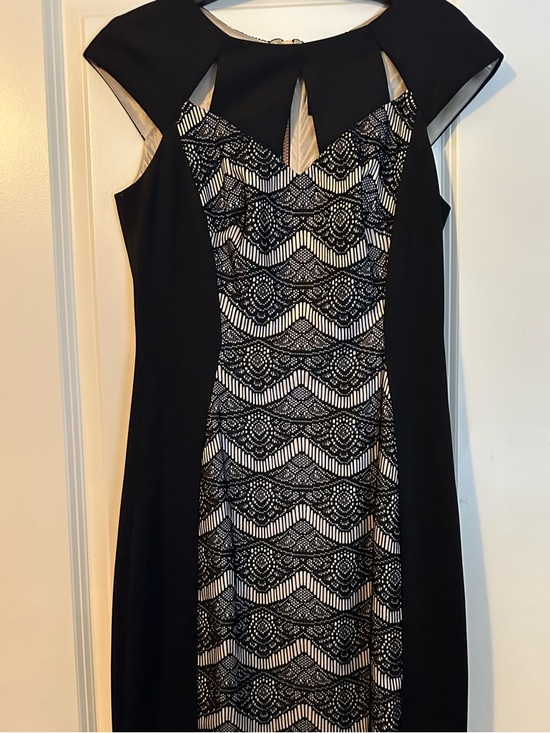 Jax Dresses & Skirts - Jax Black and Cream Lace-Front Midi Dress